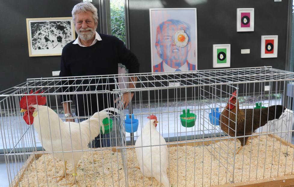 È una gallina la “livornese” che strega il mondo 