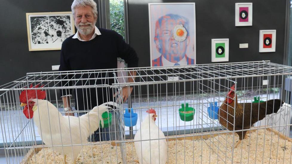 È una gallina la “livornese” che strega il mondo
