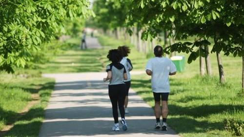 La donna è stata colta da malore mentre faceva footing in Pineta