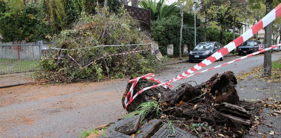 Pioggia e vento sulla Versilia: paura e disagi 