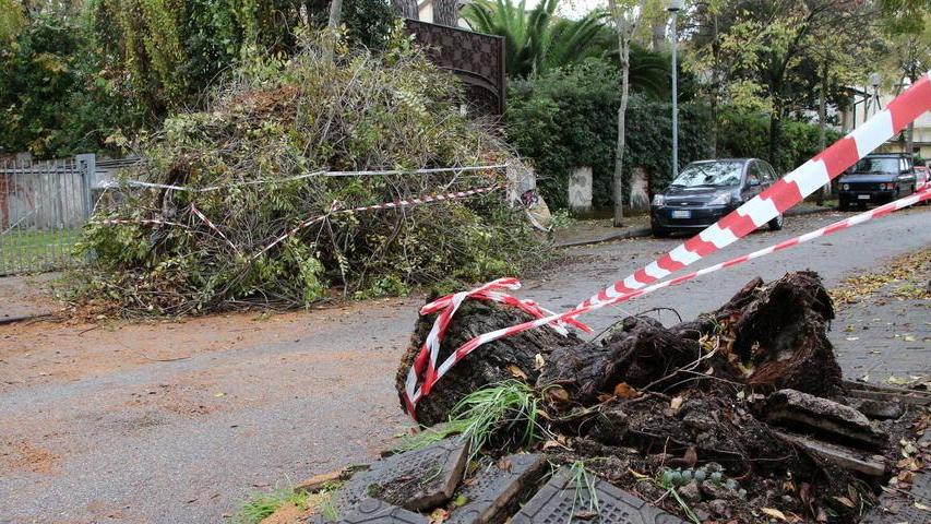 Pioggia e vento sulla Versilia: paura e disagi
