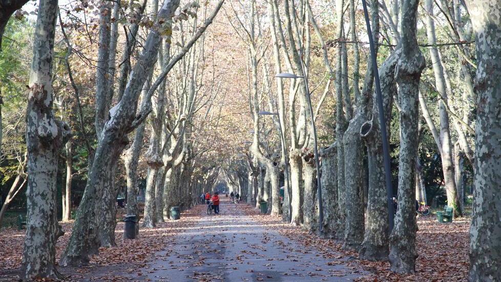 Morta dopo il malore in pineta