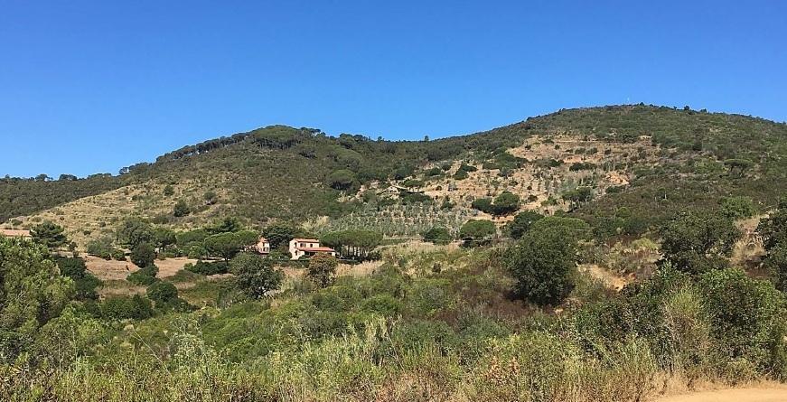 Cava di caolino, il caso Eurit in Parlamento 