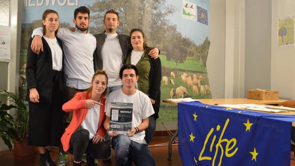 Abbattimento dei lupi In Senato approvato odg