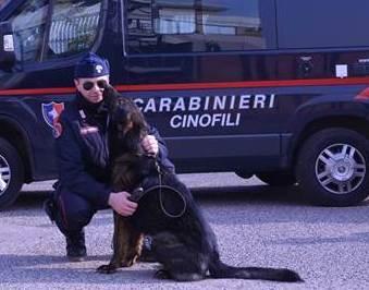 Droga in casa, arrestato studente 18enne 