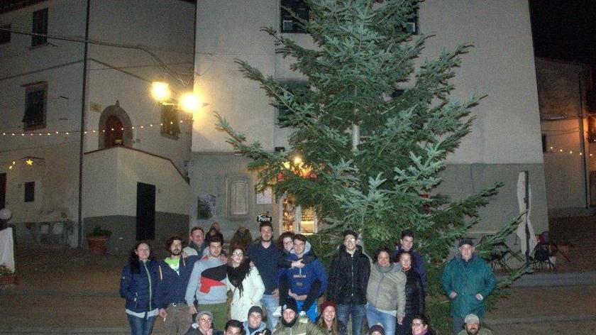 Quattro alberi di Natale per Campo e le frazioni