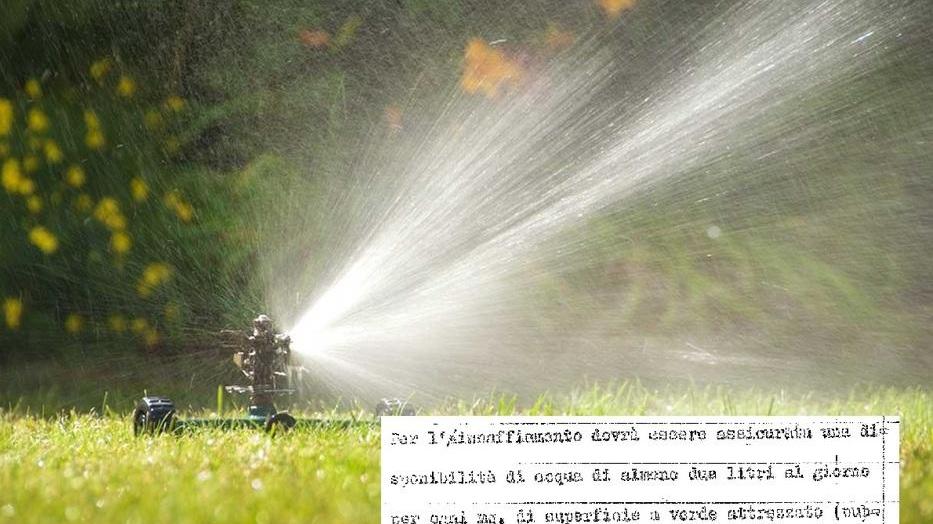 «Non intendiamo più discutere di pozzi»