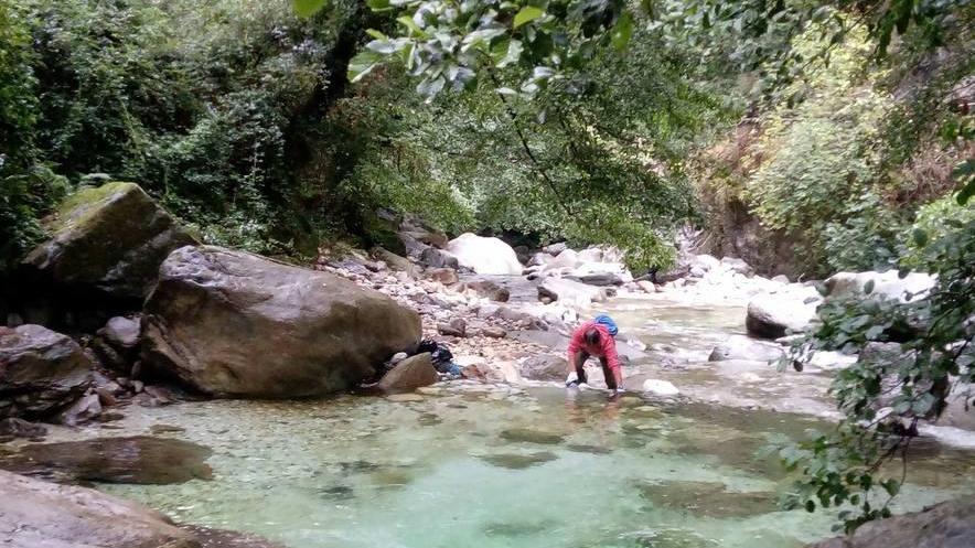 «Renara inquinato», l’allarme del Wwf