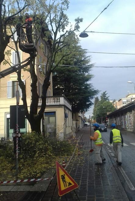 «Novantamila euro per i lavori al verde pubblico»