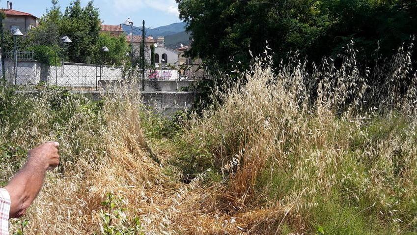 Sanzione e controlli contro il degrado dopo un esposto