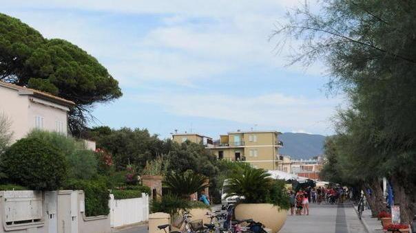 Terreno in cambio dei lavori Nessuna impresa si fa avanti