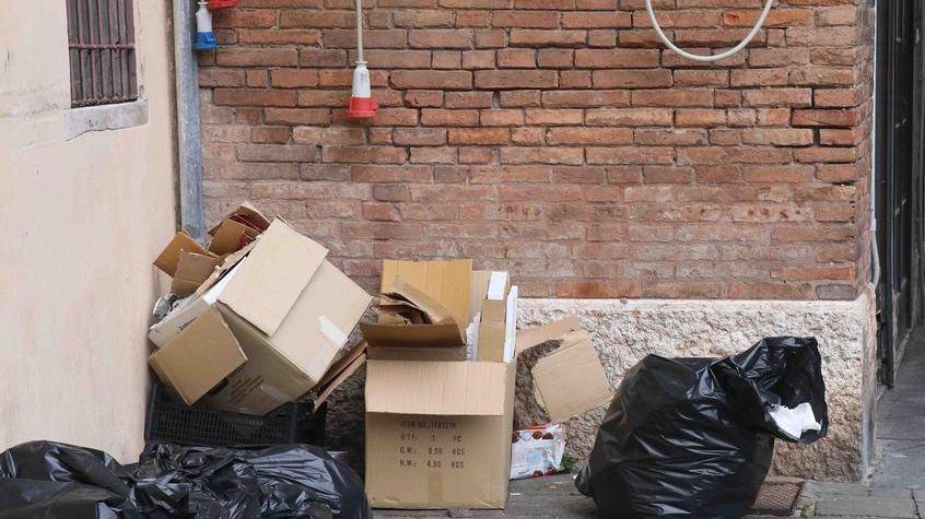 Informatori ambientali ma anche fototrappole