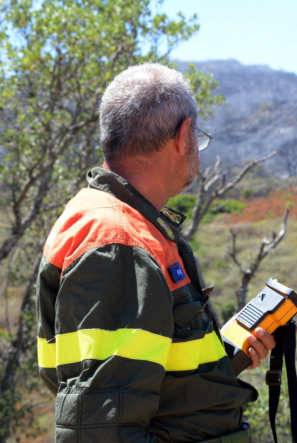 Delitti contro l’ambiente: accordo Forestale-tribunale