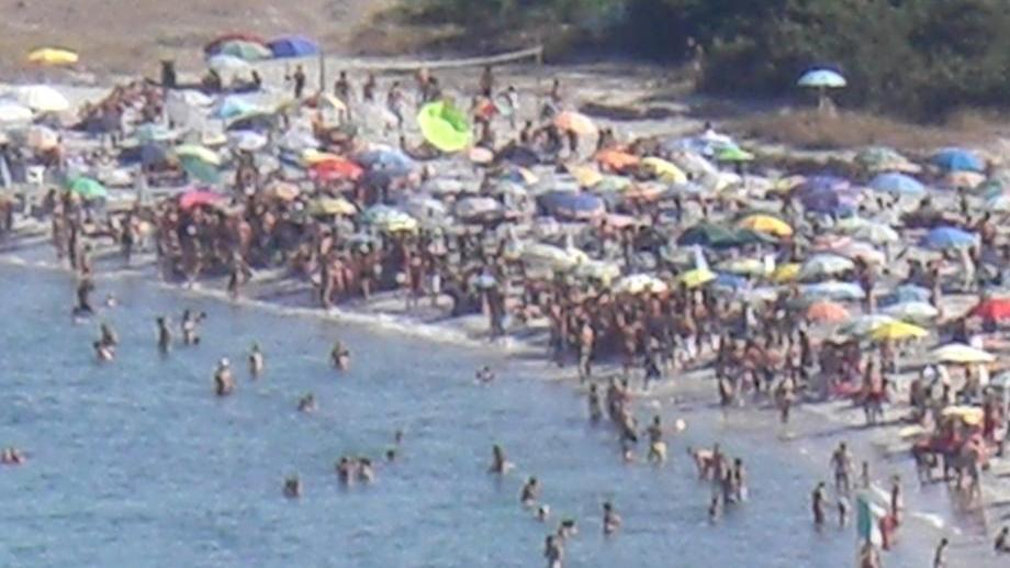 Posidonia, un bene per le spiagge