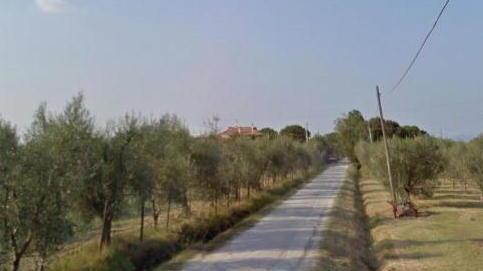 Ecco il Grande Fratello degli automobilisti