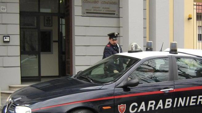 Trovati con tre quintali di legna rubata: arrestati