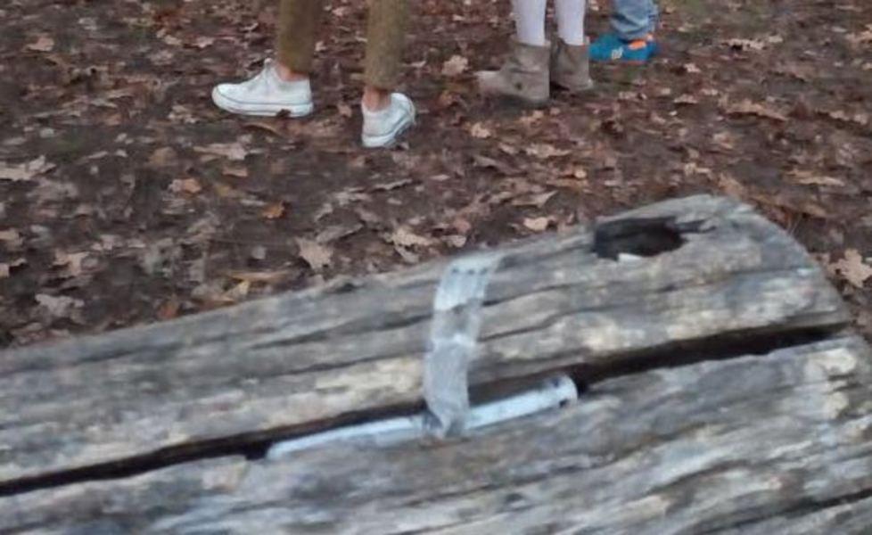 Una siringa sulla panchina al parco Cervi