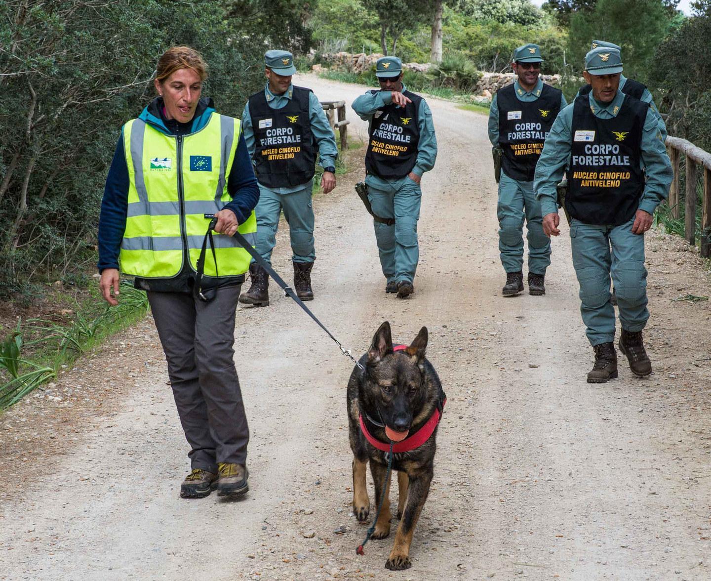 Animali avvelenati allevatore a giudizio Primo caso nell’isola