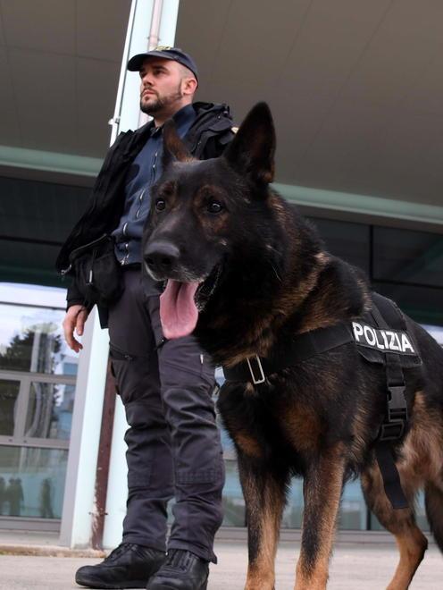 Ora anche i cani "indosseranno la divisa" 