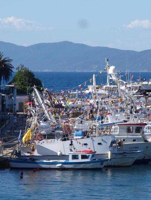 Argentario, presto una sala d’asta del pesce 