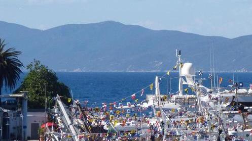 Argentario, presto una sala d’asta del pesce