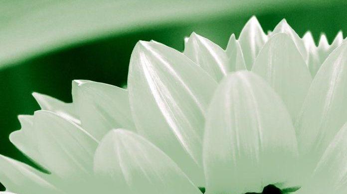 Il rispetto della natura aiuta a migliorare il benessere psicofisico