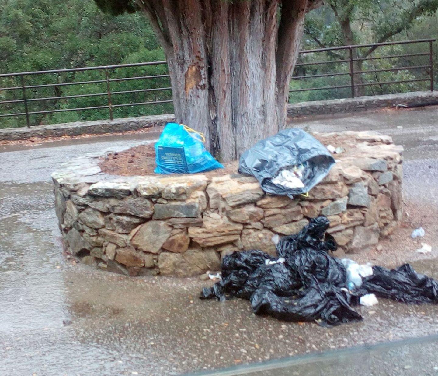 Sgommate “sporca asfalto”, multata azienda olbiese 