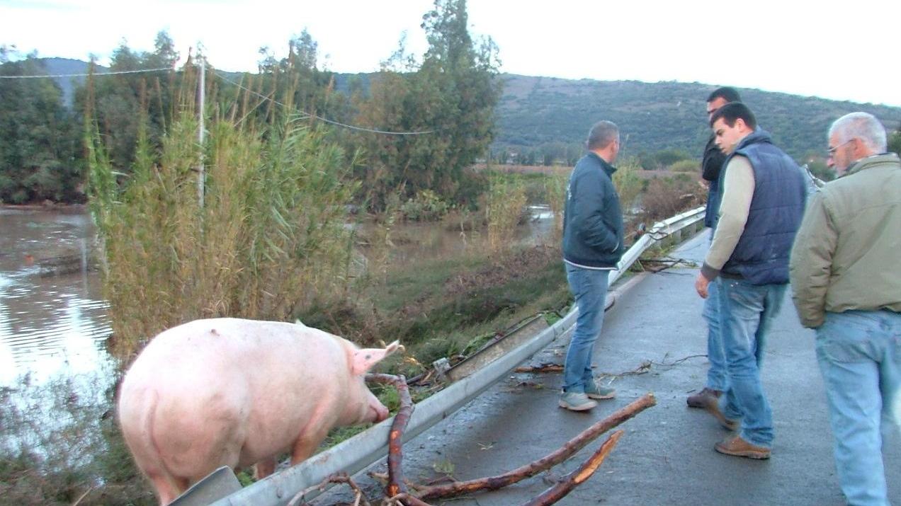 Ore 19, a Torpè comincia l’apocalisse