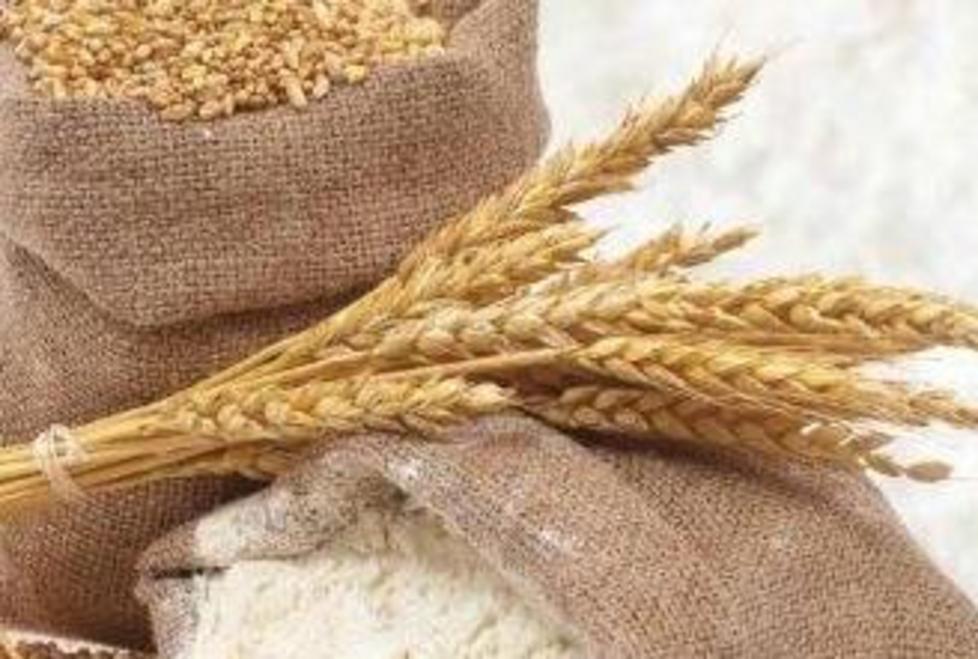 Le farine antiche si mettono in mostra