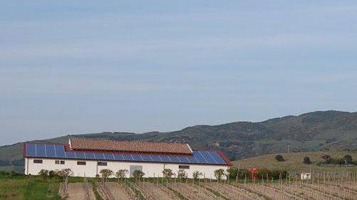 Eccellenze a Sorso, vini da primato per conquistare il mercato mondiale