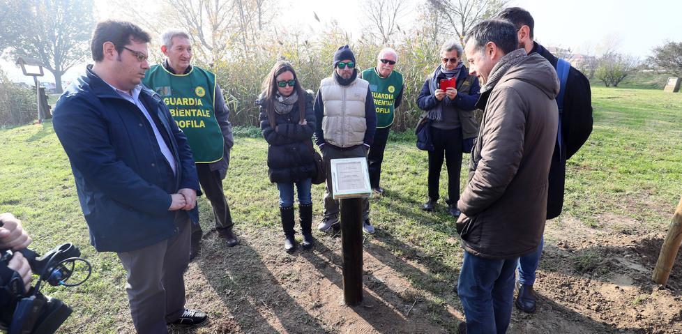 Verri, una quercia in valle per non dimenticare 