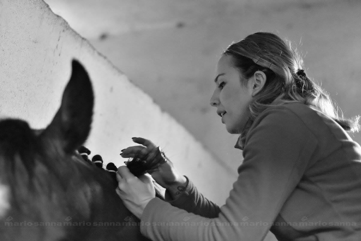 Enrica Dettori mentre realizza le trecce alla criniera di un cavallo