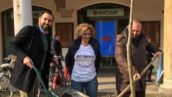 Alberi da piantare: “guerra” fra i grillini e l’assessore Tosi