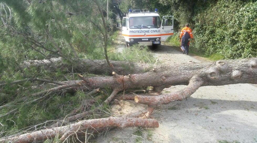 Protezione civile, le osservazioni 