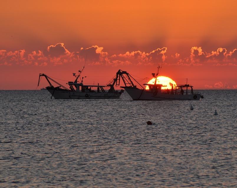 Fondali saccheggiati: cernie e dentici in pericolo 