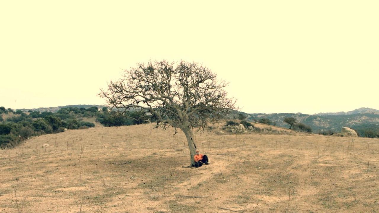 In un film il gesto anarchico di piantare alberi 