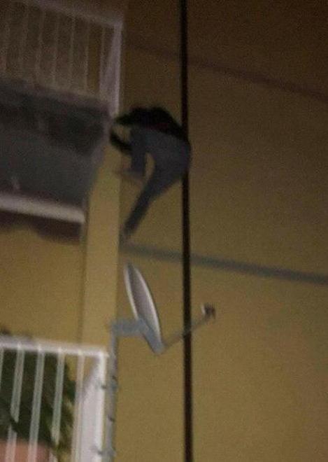 Fotografa il ladro acrobata mentre scappa dai terrazzi 