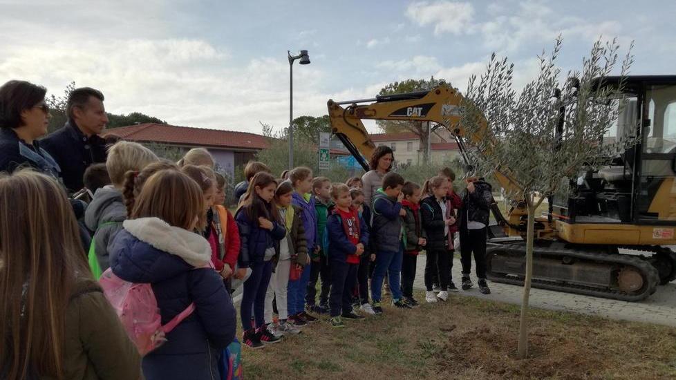 Il momento della piantumazione