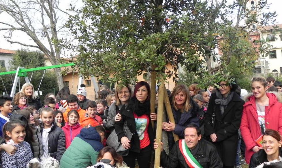 Il leccio nel parco dedicato alle mamme di Boscoborgo