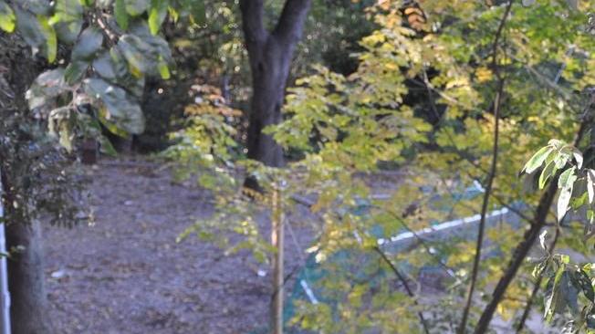 Raid vandalico al campino dei giardini Bucalossi