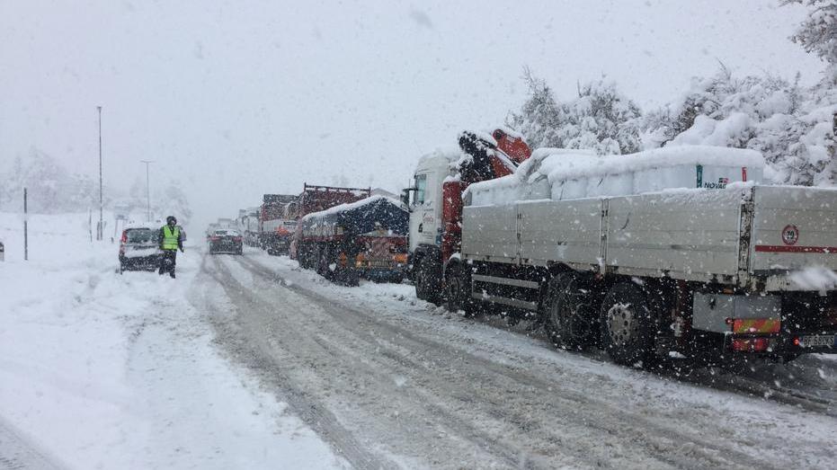 «Caos neve? Ci scusiamo, ma la colpa è del camion»