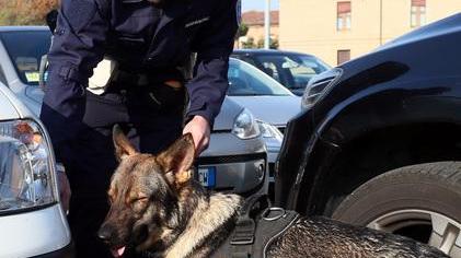 Trovata droga anche allo stadio