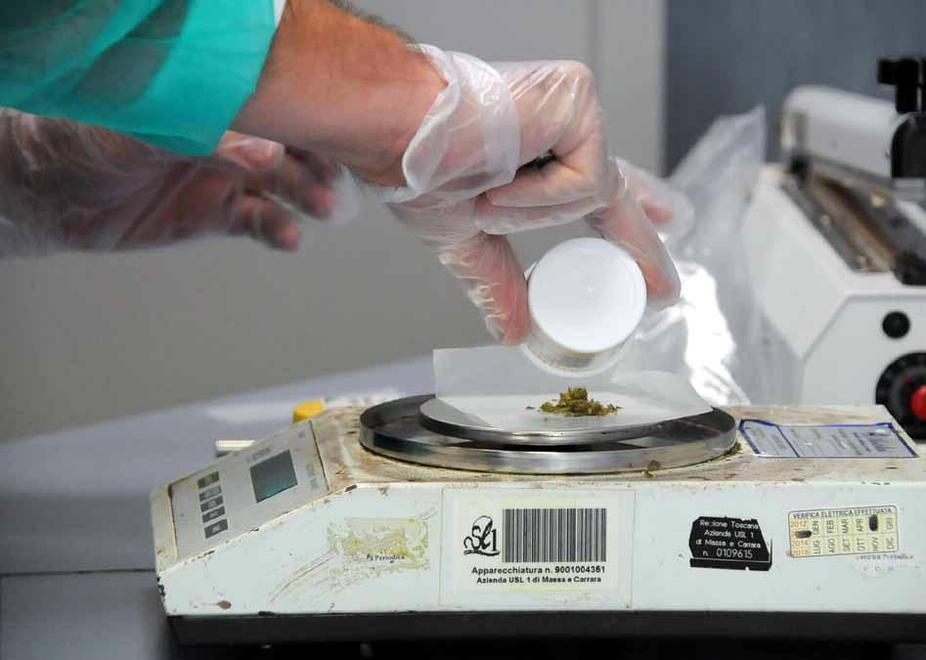 Cannabis contro il dolore In cinquanta ne fanno uso 