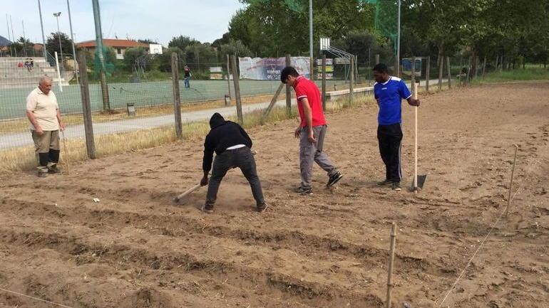 Ecco chi si offre per accogliere migranti