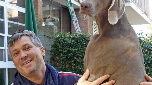 «Kelly non è stata avvelenata» Rientra l’allarme, non la paura