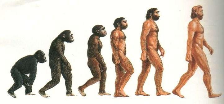 La scala dell'evoluzione dell'uomo
