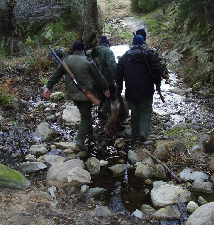 Incidente di caccia a Buddusò, ferito 59enne di Quartu