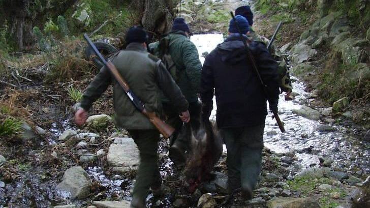Incidente di caccia a Buddusò, ferito 59enne di Quartu
