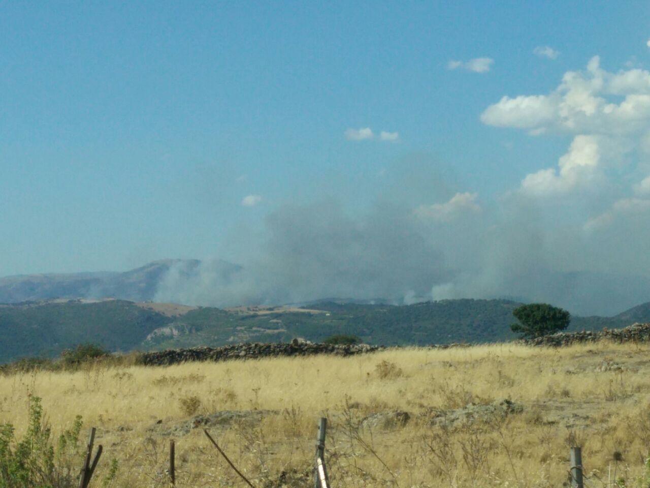 Maxi roghi in campagna: incastrato il presunto incendiario 