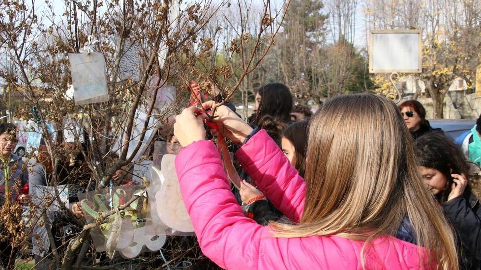 I pensieri dei ragazzi appesi all’albero davanti al municipio